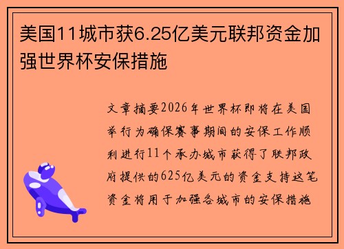 美国11城市获6.25亿美元联邦资金加强世界杯安保措施